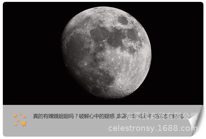 S87135