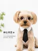 Suministro transfronterizo exclusivo de capas mágicas para perros y gatos pequeños y medianos, disfraces de Halloween, capas divertidas, ropa para mascotas en stock