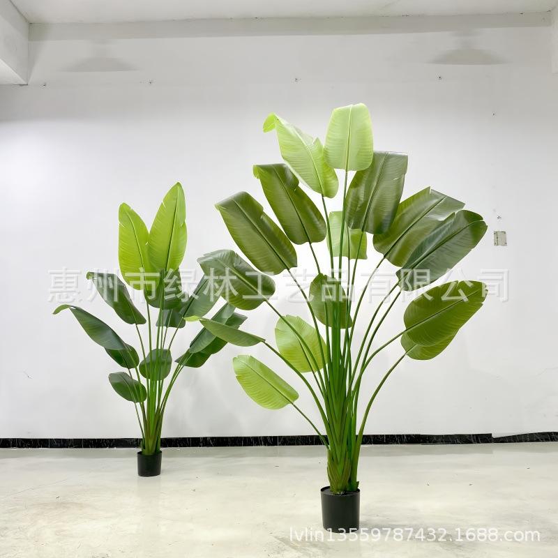 微信图片_20240817203746_副本