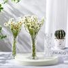 Jinde Mesa de Comedor Transparente de Cristal Florero Florero Plástico Imitación Vidrio Florero de Mesa
