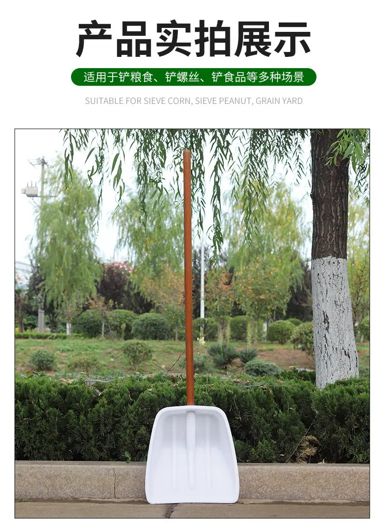详情_10.jpg