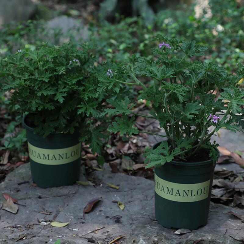 QQ图片20210808214118