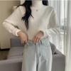 Camisa de base de pelo de vison com forro de lã espessada de veludo de uma peça, blusa feminina nova de outono e inverno, meia gola alta, suéter de malha
