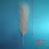 Hierba de pampa artificial corta de seis puntas transfronteriza flor de simulación en stock decoración del hogar pluma de simulación accesorios de boda al por mayor