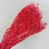 Flor y hierba eternas transfronterizas millón de Nebulosas fábrica del sur al por mayor colorido pequeño cielo estrellado diy flor seca aromaterapia flotante