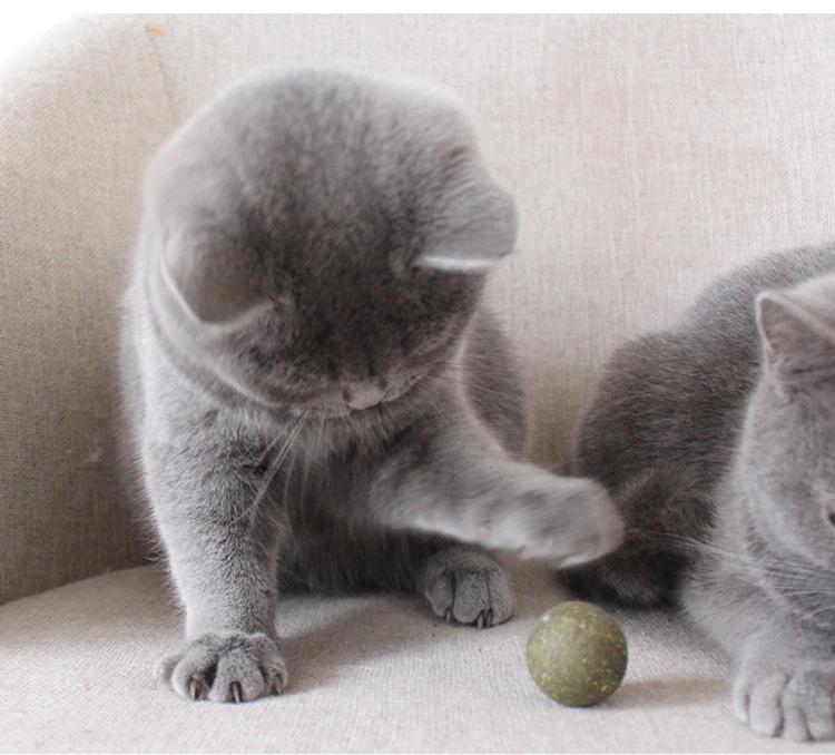 猫薄荷球8.jpg