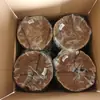 Cesta colgante de arte en hierro hecha a medida con palmera de coco, maceta colgante de forma única para balcón y patio, cesta colgante de palmera de coco para plantas verdes y flores