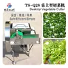 Máquina Pequeña para Cortar Verduras, Máquina para Cortar Brotes de Ajo, Máquina para Cortar Cebolleta, Máquina para Rallar Cebolla para Cadenas de Tiendas