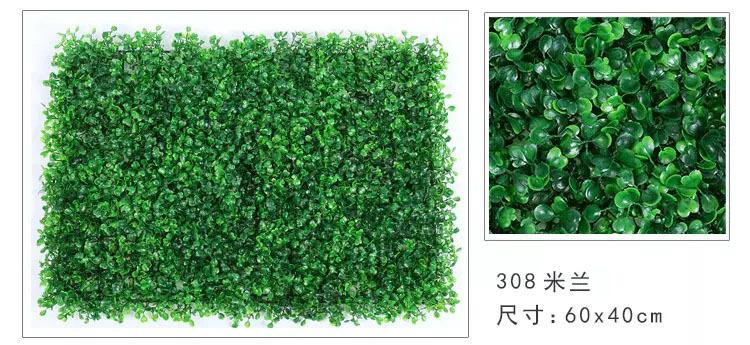 植物墙皮