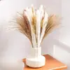 Buquês de Flores Secas Mais Vendidos, Capim Seco Pequeno, Grama Cymbidium, Flores de Poeira, Decoração de Casa para o Dia dos Professores, Fábrica de Yunnan
