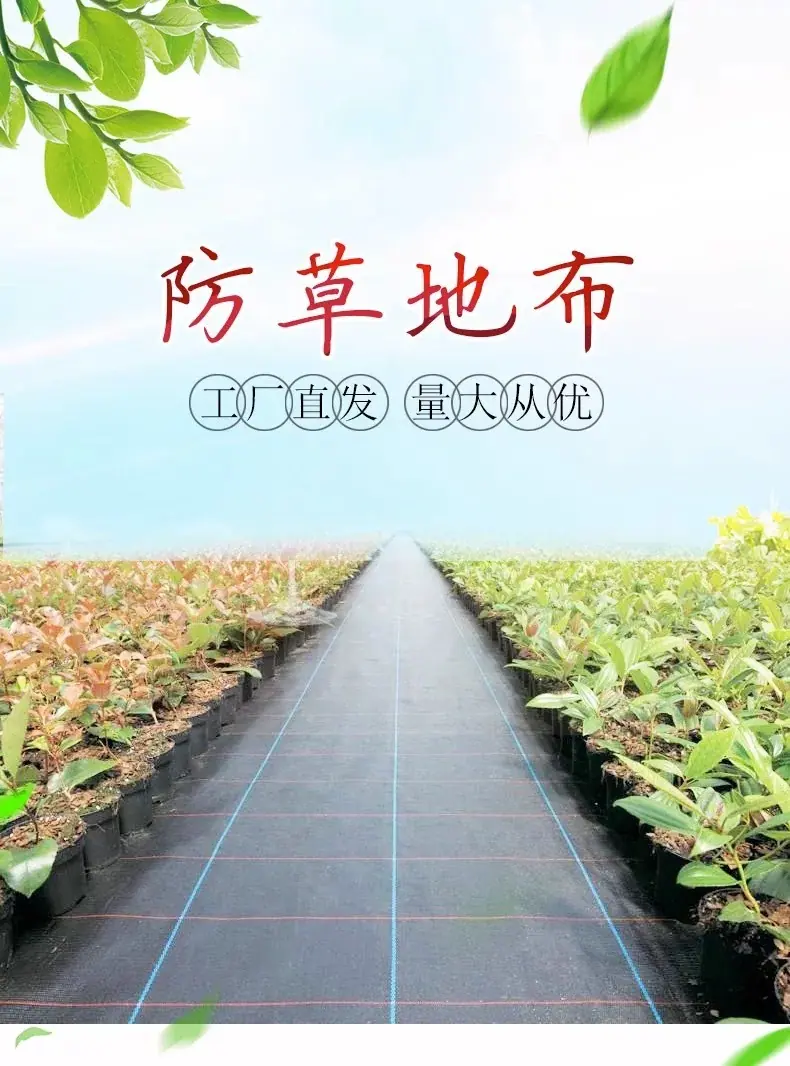 防草布5