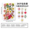 Marcador de Página com Flores Secas material diy feito à mão filme de selagem plástica transparente espécime de planta criativo frasco em relevo presente para aluno do ensino fundamental