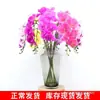 Phalaenopsis maceta individual individual 3D decoración hidratante flor flor artificial plástico decoración de sala de estar flor escritorio
