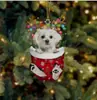 Navidad Transfronteriza Lindos Calcetines de Navidad Perro Árbol de Navidad Decoración Colgante Regalo Creativo Festivo