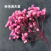 Materiais DIY de Flores Secas, Velas Perfumadas Decorativas, Buquês de Flores Secas de Cera de Soja Feitos à Mão, Flores Naturais Reais, Rodelas de Limão, Canela