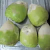 Sementes de Mostarda Descascadas Horta de Fazenda Plantio Sementes de Mostarda Vegetal Carnudas Fibra Fina Menos Picante