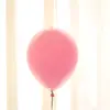 Globos Macaron de Doble Capa de 10 Pulgadas al por Mayor Transfronterizos Látex Engrosado Color Caramelo Set de Globos para Decoración de Fiesta
