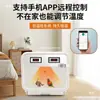 Incubadora de Papagaios com Controle Remoto Wifi para Filhotes, Incubadora de Ar Quente para Animais de Estimação, Fênix Negra Peônia e Outros