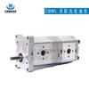 Bomba de Óleo de Dupla Engrenagem CBWL-E320/E320-AFH, CBWL-E320/E316-AFH