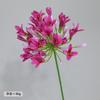 Flor de simulación loto de cien semillas sencillo europeo decoración del hogar adornos arreglo de flores suaves boda paisajismo accesorios de fotografía mayoreo