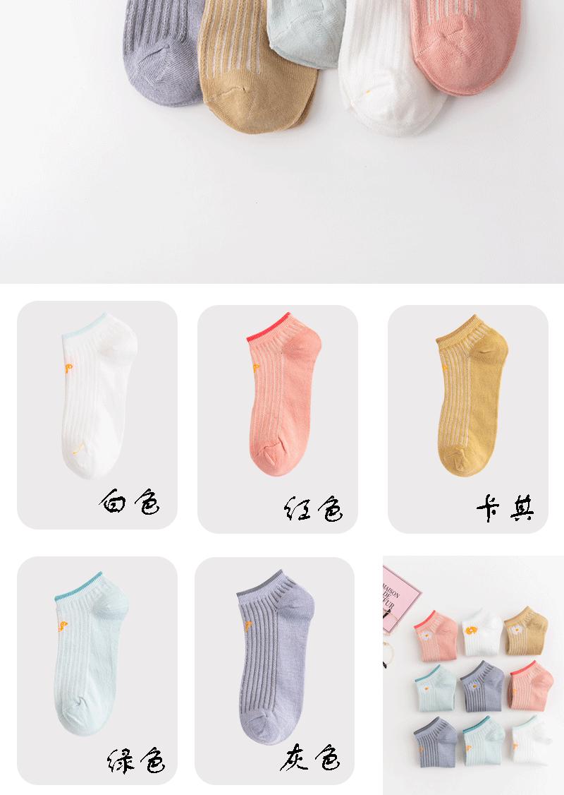 5色菊-猫-切片图_04