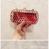 Ramo Pequeño y Exquisito, Bolso Hueco de Metal Transparente, Bolso de Mano con Cadena para Mujer