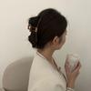 Pinza para el cabello estilo Chanel retro fresco grande de alta gama dulce elegante clip lateral accesorios para el cabello para mujeres