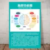 Gráfico de Hawkins Cartaz Adesivo Camada Tabela Nível Gráfico Parede Positiva Gráfico de Estudo