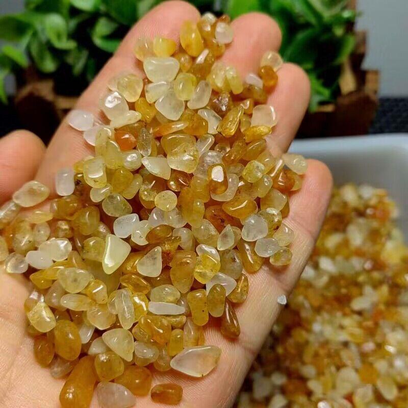 QQ图片20240719124706