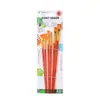 Conjunto de 6 Pincéis de Pintura a Óleo para Cabelo de Nylon Colorido Transparente Giorgione com Várias Formas e Combinações, Conjunto de Pincéis para Aquarela