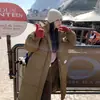 Nuevo Estilo de Invierno 2025, Rejuvenecedor, Versátil, Cómodo y Agradable para la Piel, Chaqueta de Algodón con Capucha de Longitud Media, Moderna