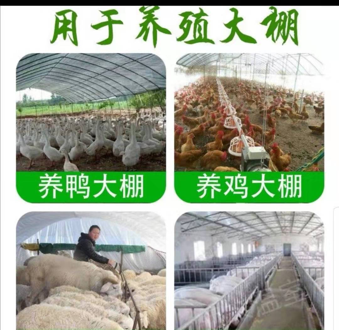 微信图片_20191118101107