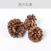Materiais de Flores Secas Galhos Bolotas Pinhas Algodão Vagens de Lótus Jardim de Infância Artesanato Velas Aromáticas Fatias Decoração Adereços para Fotos