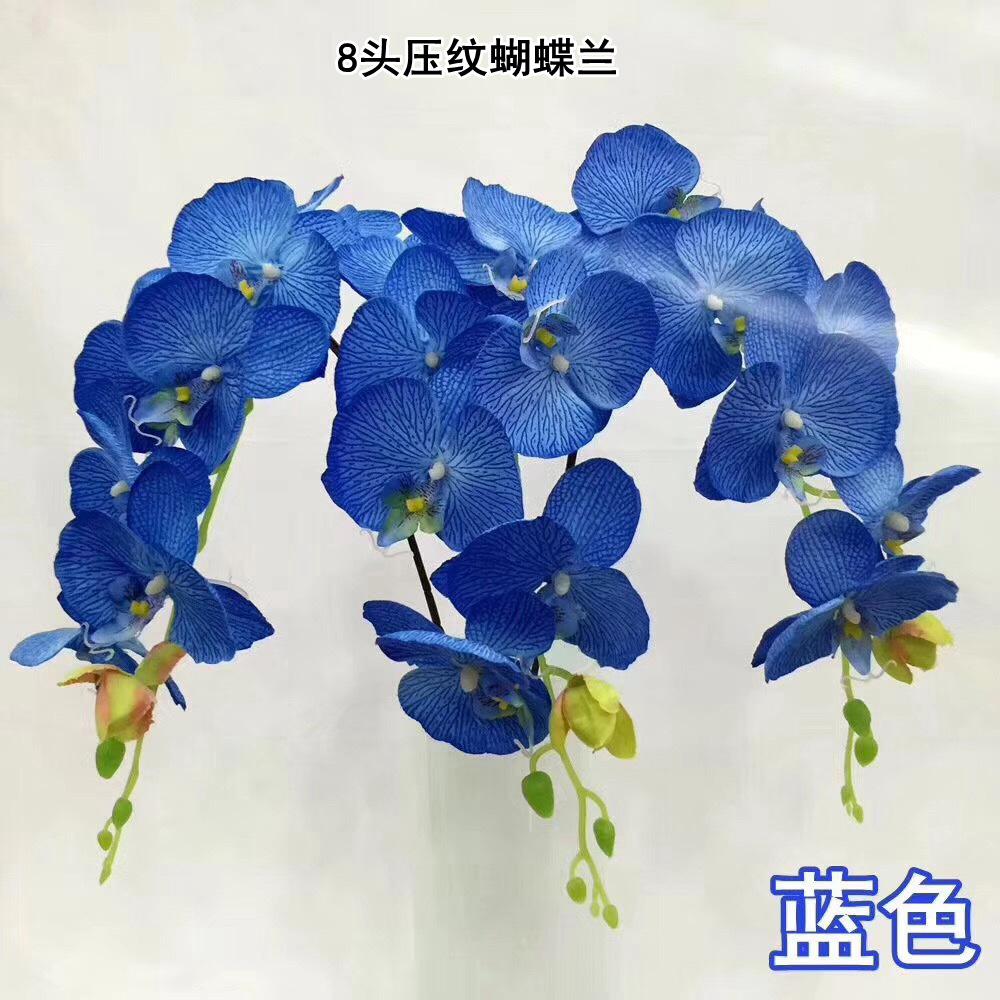 微信图片_20200410131535_副本.jpg