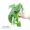 Simulación Bosque Caucho Suave Tacto Mano Hoja Falsa Paisaje Colgante Pared Fondo Pared Oficina Guardería Rincón Plantas Decoración
