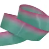 Nueva Cinta de Poliéster Arcoíris de Doble Cara de 2.5 cm con Lazo de Cinta de Color Gradiente por Transferencia Térmica para Accesorios de Ropa