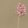 Ritmo Ligeramente Dulce Atmósfera Primavera Verano Flor Pinza para el Cabello Lazo Cinta Pinza Lateral para el Cabello Accesorios para el Cabello de Temperamento Dulce