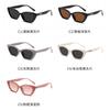 Gafas de sol polarizadas ojo de gato GM AA027 Gafas de sol coreanas de montura pequeña moda personalidad parasol protector solar TR90 alta calidad