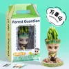 Suculentas, Cactos, Plantas Pequenas em Vasos, Cacto Groot, Decorações de Mesa no Escritório, Plantas Verdes Fáceis de Cultivar para Pessoas Preguiçosas