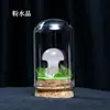 Cristal Natural Cogumelo Micro-paisagem Mine-logo Enfeites Populares para Crianças Festival de Ciência Presentes Enfeites para Casa