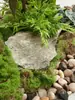 Escenario de Exhibición de Ventana Pieris Japonica Simulada Planta Interior de Gama Alta Arce Japonés Biomorfo Planta Verde Decoración Árbol Artificial Grande Paisaje