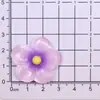 Acessórios de Resina Flor Plumeria Transparente Colorida Cinco Pétalas Cola Creme DIY Buraco Sapato Chaveiro Ímã de Geladeira Chave