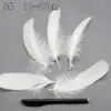 Colección de Productos de Plumas Blancas al Por Mayor DIY Hecho a Mano Accesorios de Ropa de Plumas Joyería Material Pluma de Ganso Pluma de Pavo
