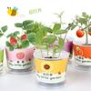 Plantas Verdes en Maceta Siembra a Ciegas Plantas en Maceta Jardín de Infancia Niños DIY Hecho a Mano Semillas de Flores Set de Regalo