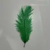 Ventas Directas de Fábrica de Plumas de Avestruz Sudafricanas para Decoraciones de Bodas, Accesorios de Costura y Manualidades, 20-25 cm en Stock, Venta al por Mayor de Plumas Naturales