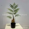 Cabeça de macaco simulação Samambaia casa nórdica macaco dourado Samambaia bonsai adereços para filmagem de cinema e TV cabeça de cachorro ornamentos de samambaia outlet de fábrica