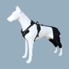 Protectores de Pierna para Mascotas de Venta Caliente Transfronteriza, Protectores de Pierna para Perros, Rodilleras de Rehabilitación Postoperatoria, Cinturón Auxiliar para Rodilla, Protección de Articulación de Pierna