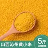 Grão Amarelo de Milheto Comestível Qinzhou Shanxi Arroz Mingau de Milheto Pegajoso Milheto Amarelo Pequeno Grão Novo a Granel 2,5kg