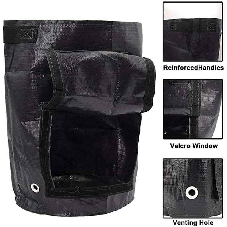 71iWJNfvOiL._AC_SX679_