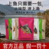 Obtenha um Pacote de Isca Multiuso para Carpas Comuns, Carpas Crucian e Carpas Húngaras para Reservatórios e Lagos, com um Forte Aroma de Peixe e Fragrante, Adequado para Outono e Inverno, e para Todas as Estações, para Pesca Selvagem